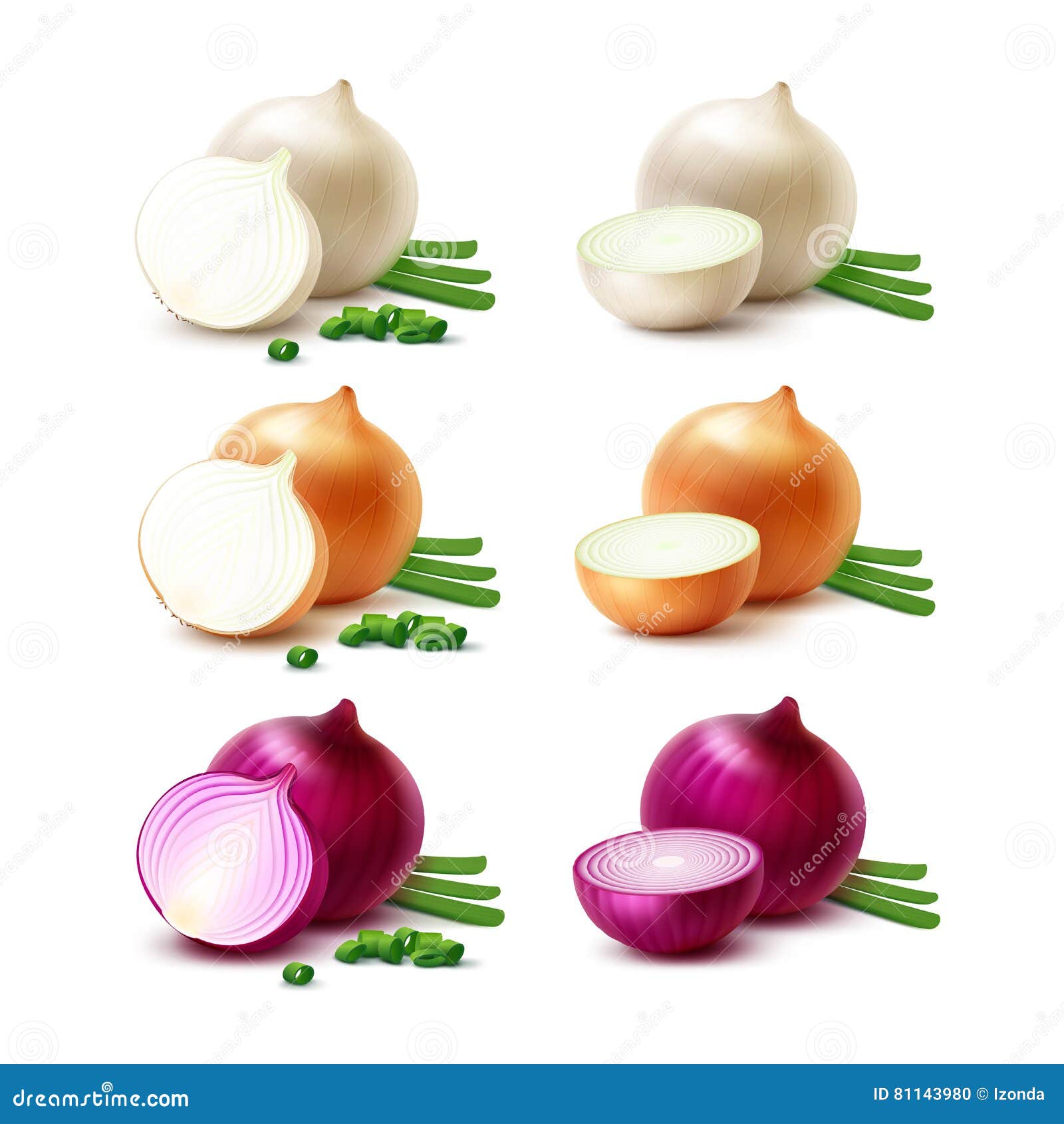 Red Onion Stock Illustrations – 20,20 Red Onion Stock ...