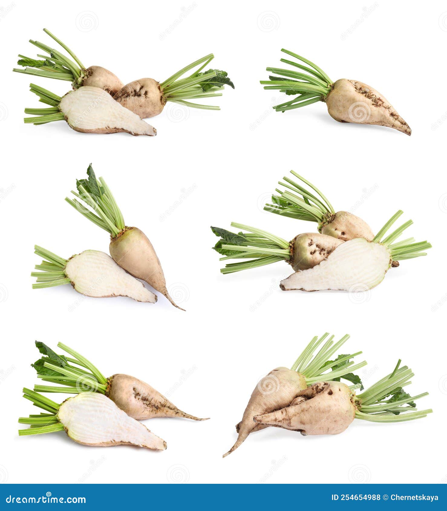 Set with Whole and Cut Sugar Beets on Background Stock Photo Image of