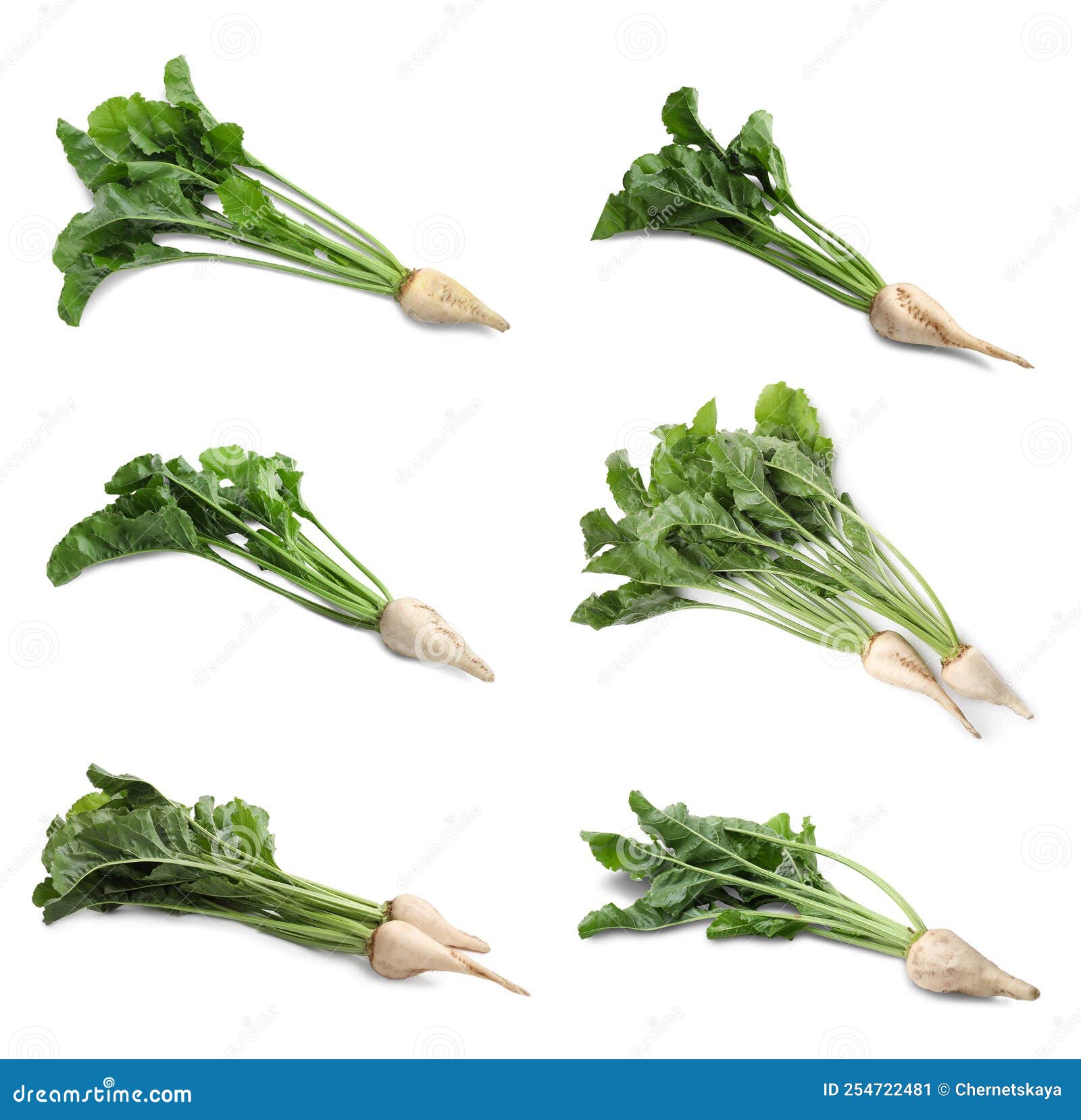Set with Whole Sugar Beets on Background Stock Image Image of harvest