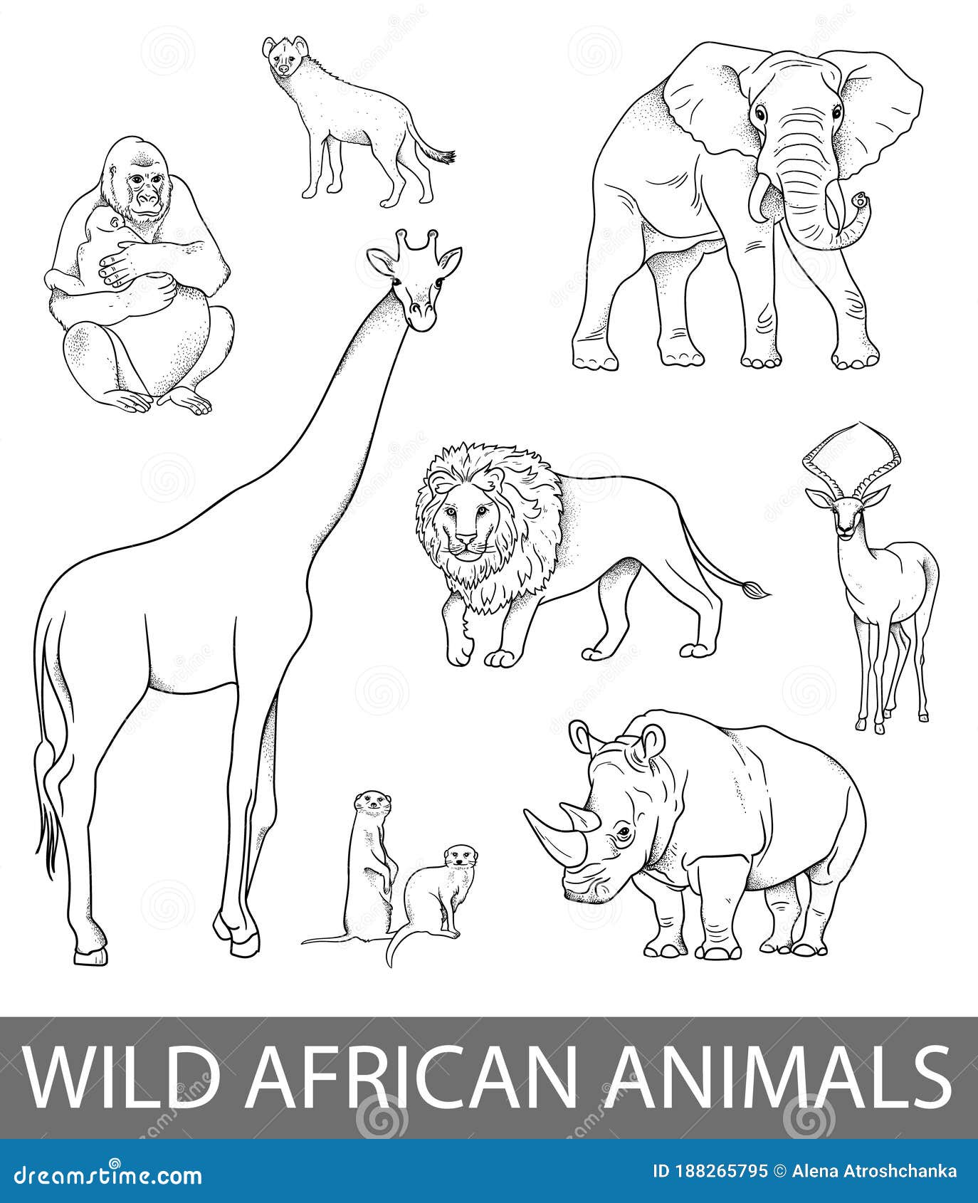 Set of Wild African Animals Illustrations in Lines. Educational ...