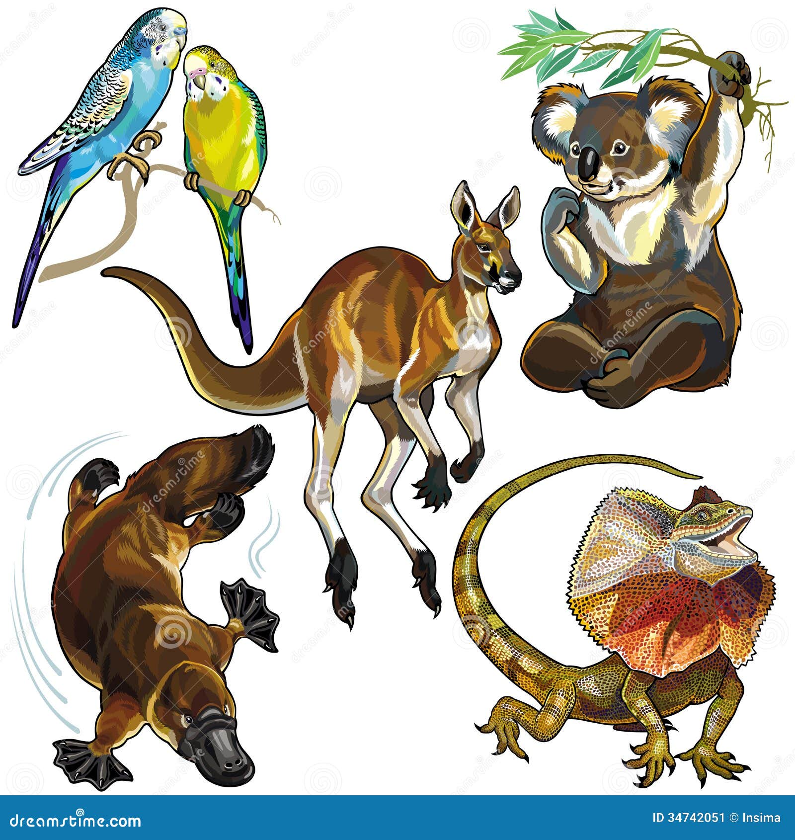 set with wild animals of australia