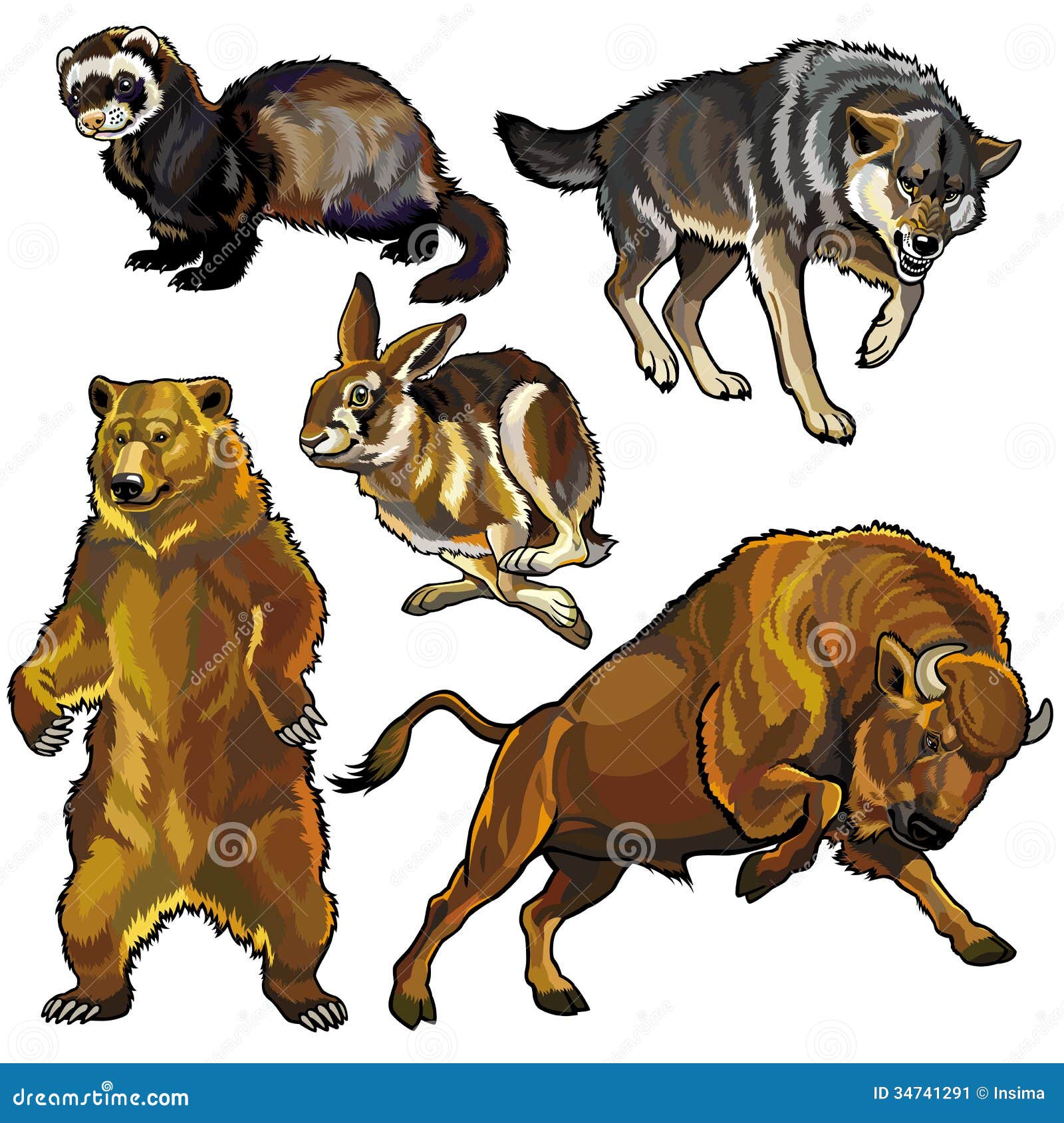 Set Wild Animals Europe Stock Illustrations – 264 Set Wild Animals Europe  Stock Illustrations, Vectors & Clipart - Dreamstime