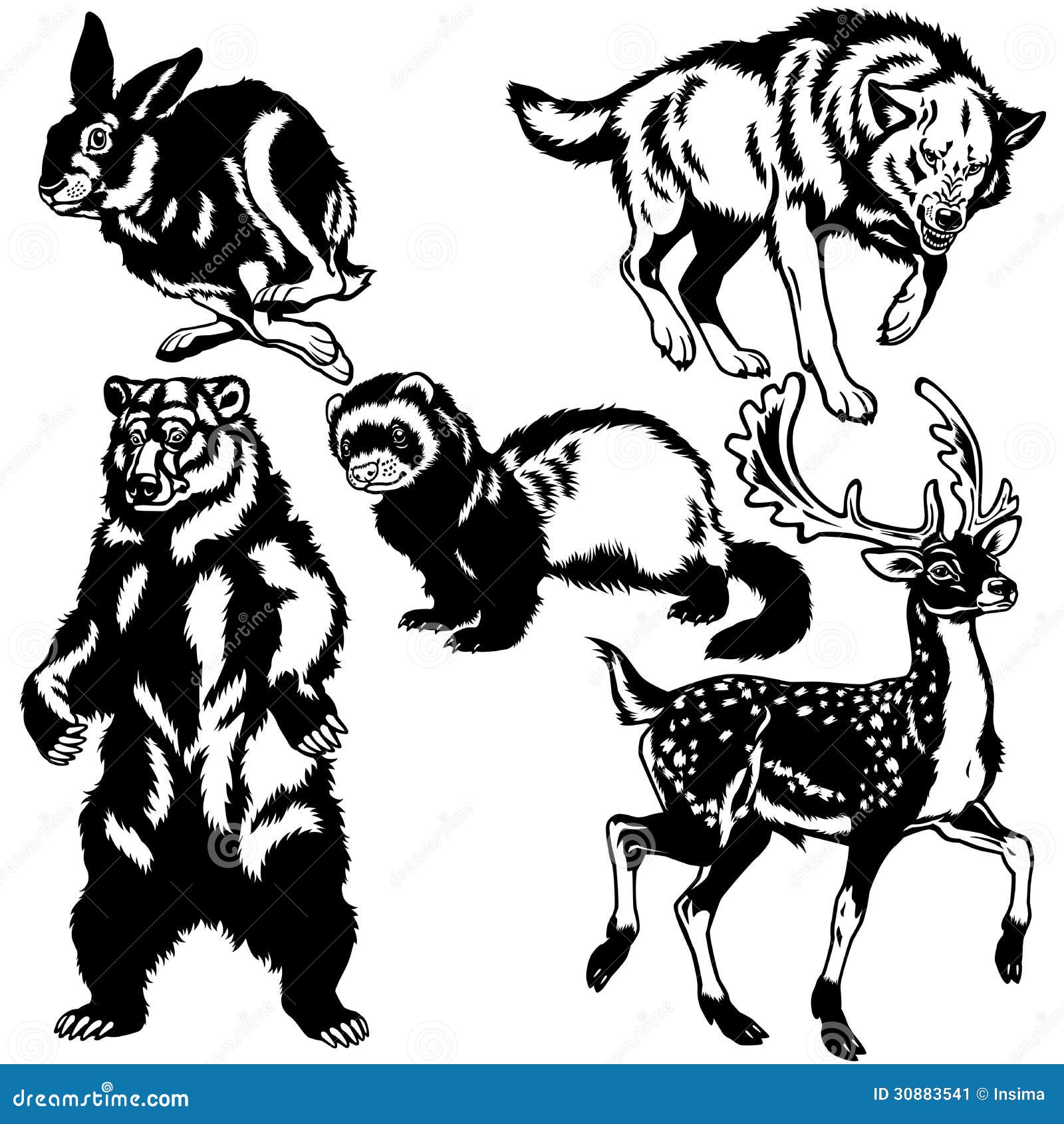 Set Of Wild European Animals Stock Vector - Illustration ...