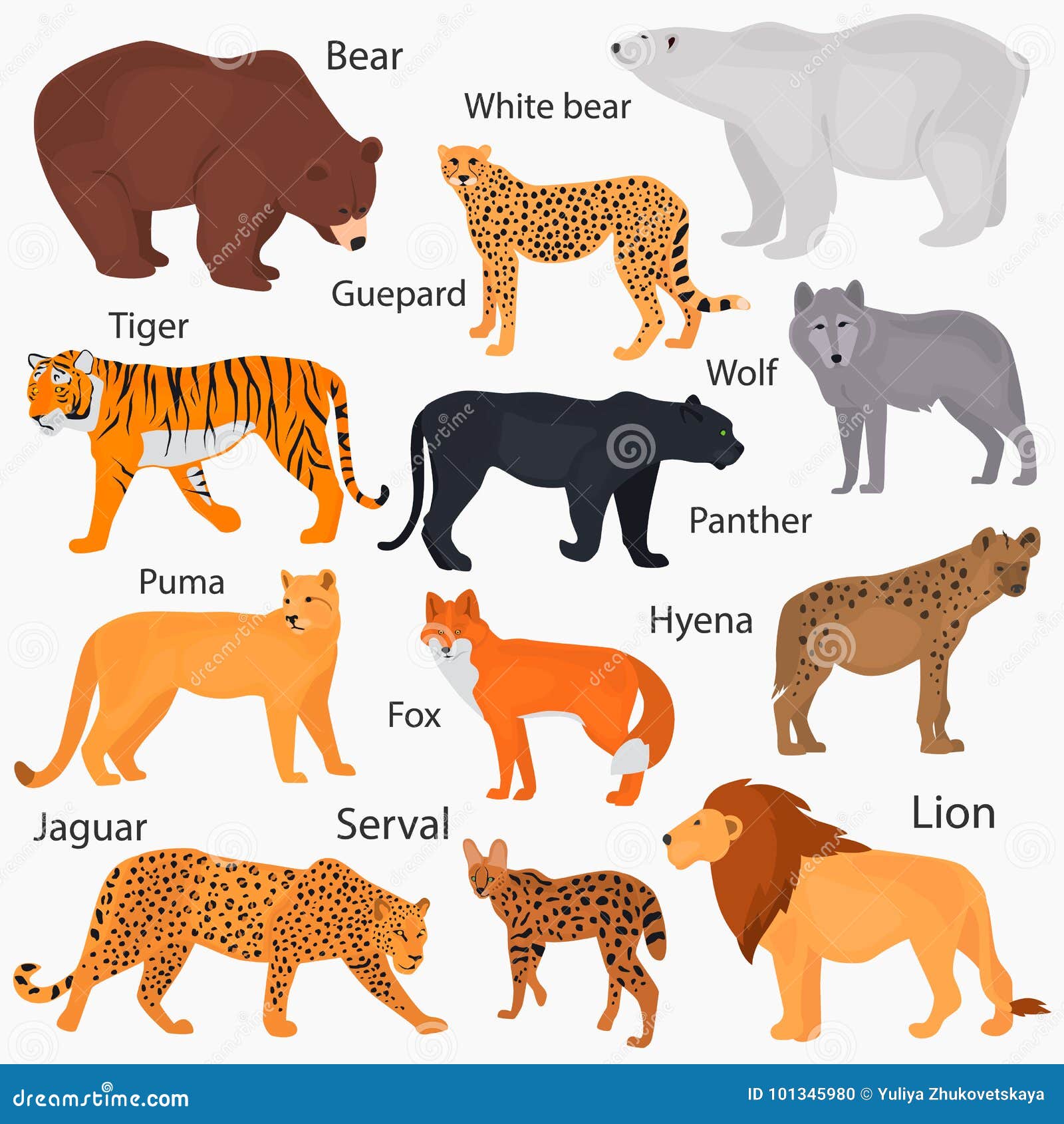 Set of Wild Predators with Their Names Color Flat Icons Stock Vector