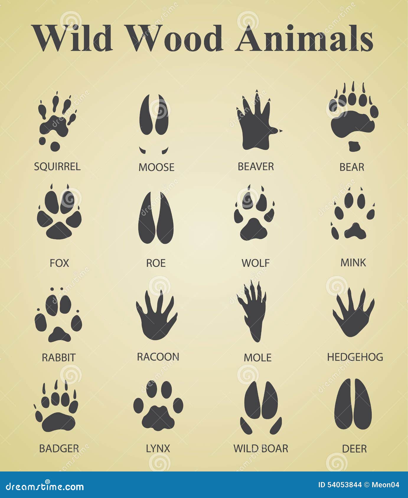 set of wild wood animal tracks
