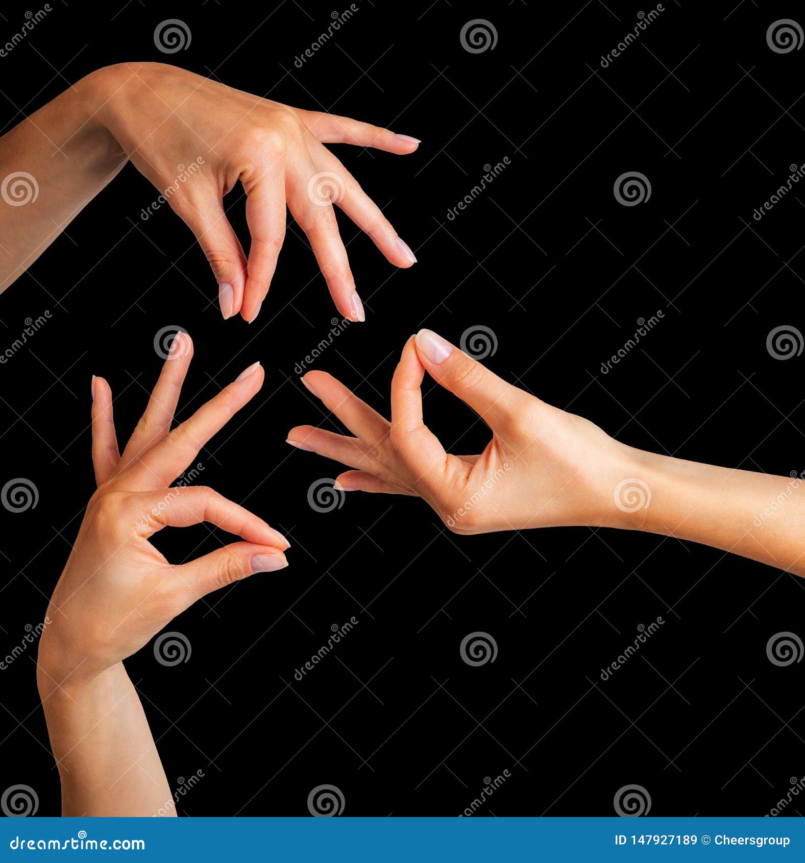 Set Of Woman Hands Showing Mudra Gesture Or Holding Something Stock Image Image Of Index 