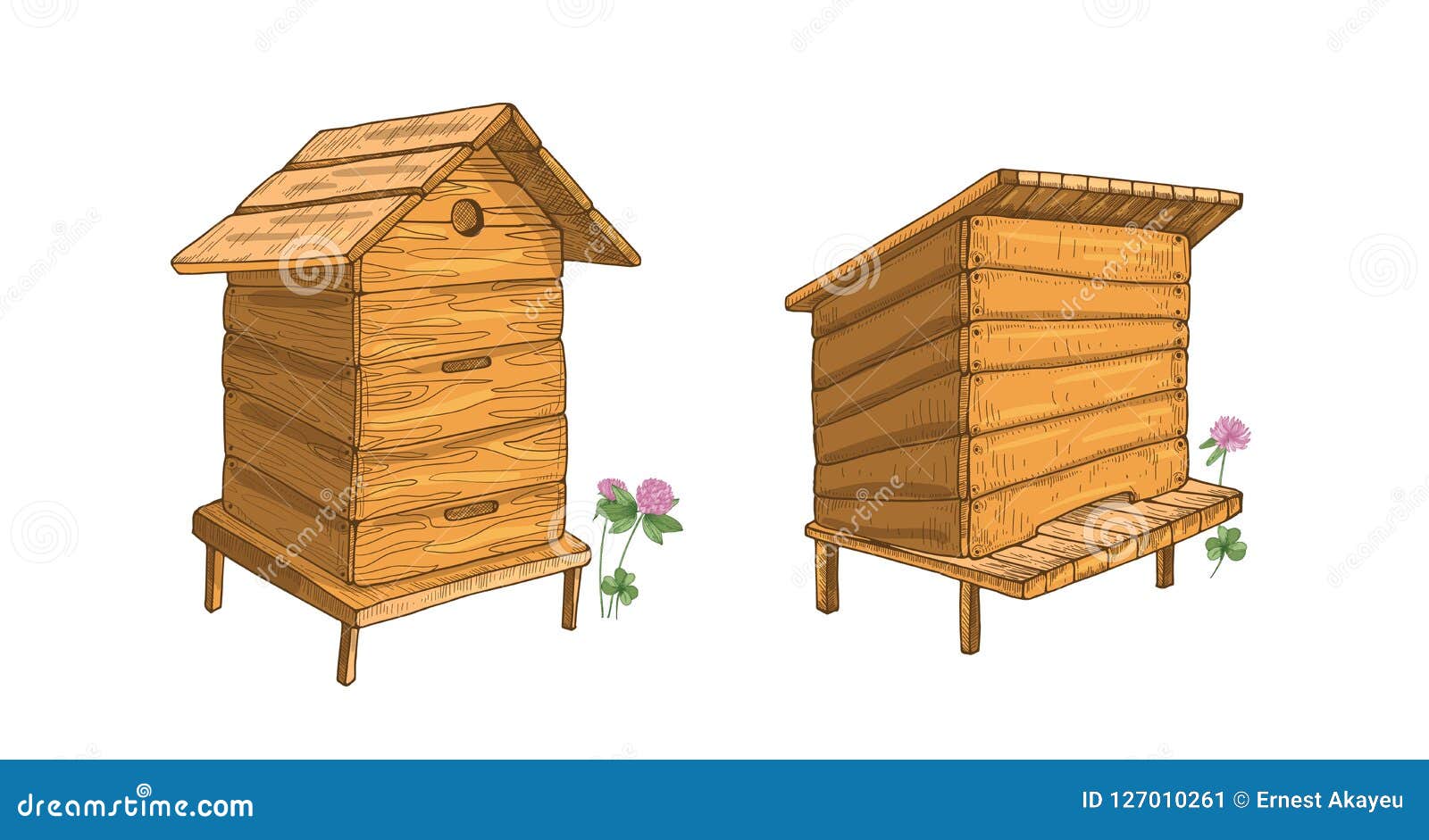 free bee hives co-op