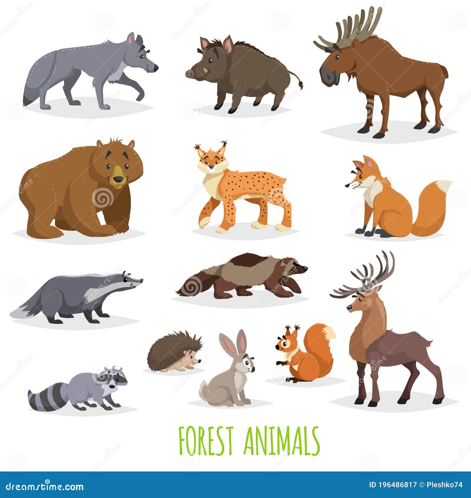 Set of Woodland and Forest Animals. Europe and North America Fauna  Collection Stock Vector - Illustration of design, element: 196486817