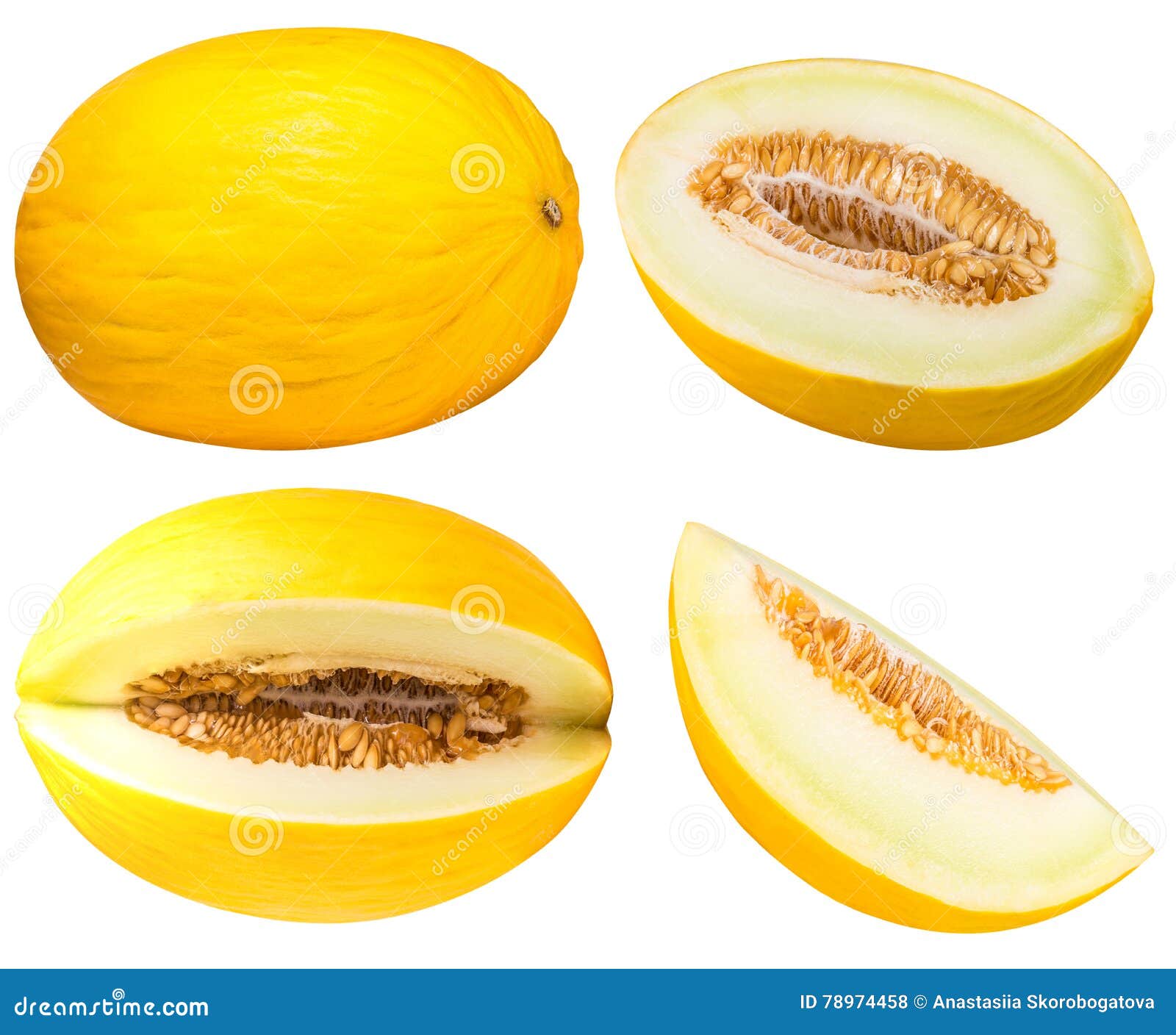 Set of Yellow Melon Isolated on White Background Stock Photo Image of