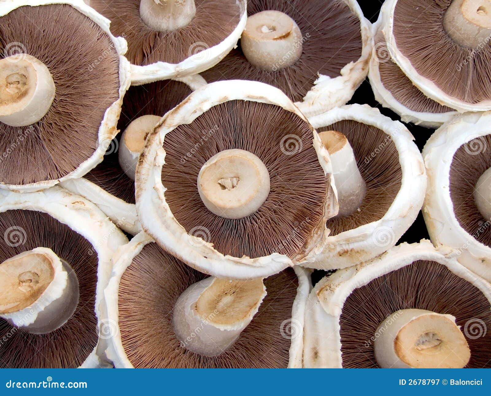 Setas de Portobello imagen de archivo. Imagen de comida 2678797