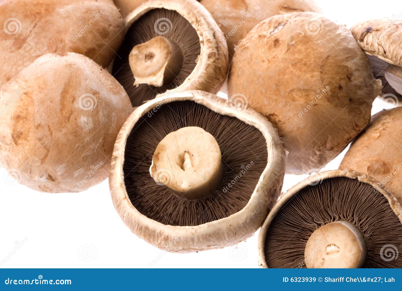 Setas De Portobello Aisladas Imagen de archivo Imagen de cocina