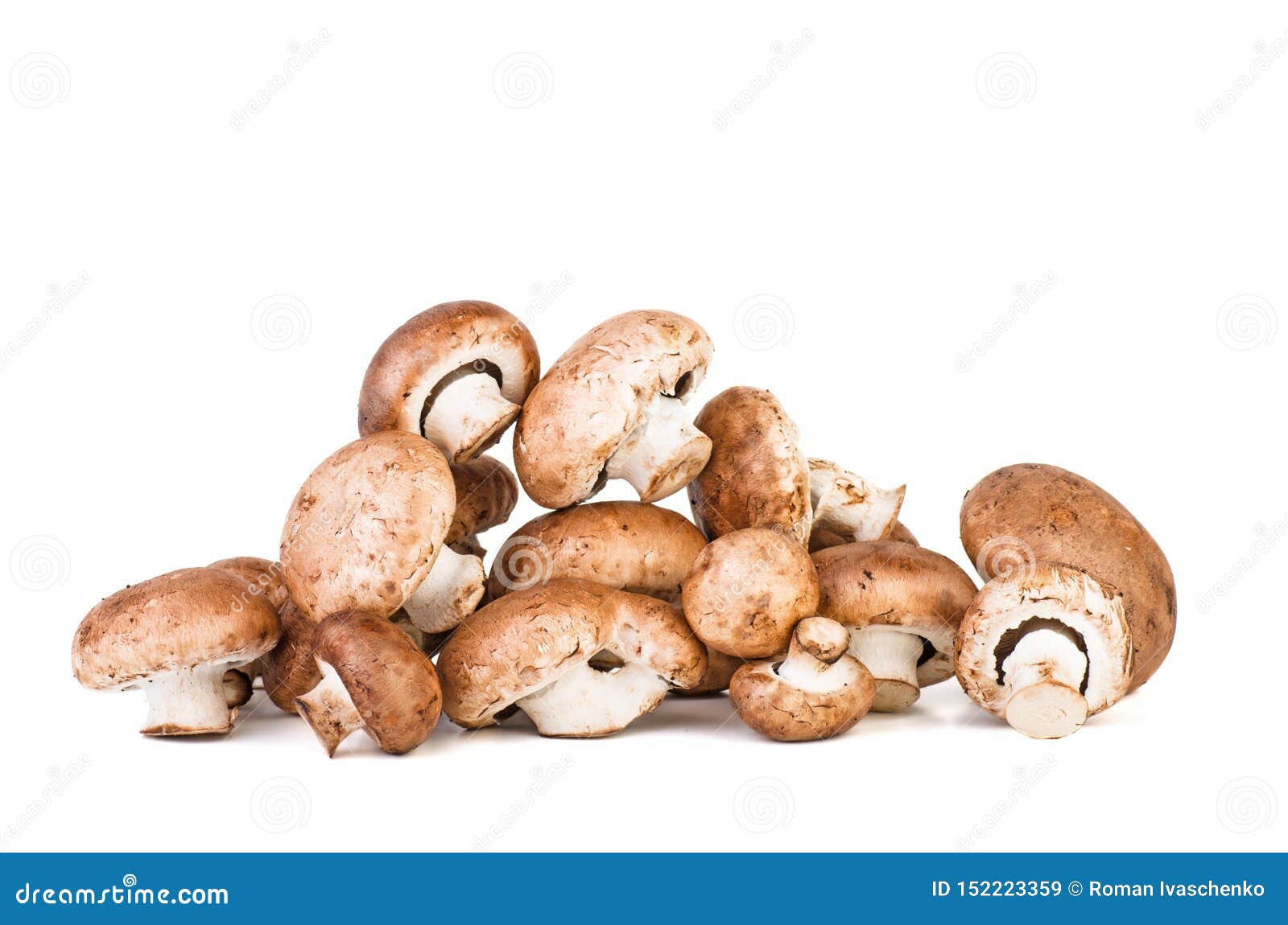 Setas Portobello imagen de archivo. Imagen de grupo 152223359