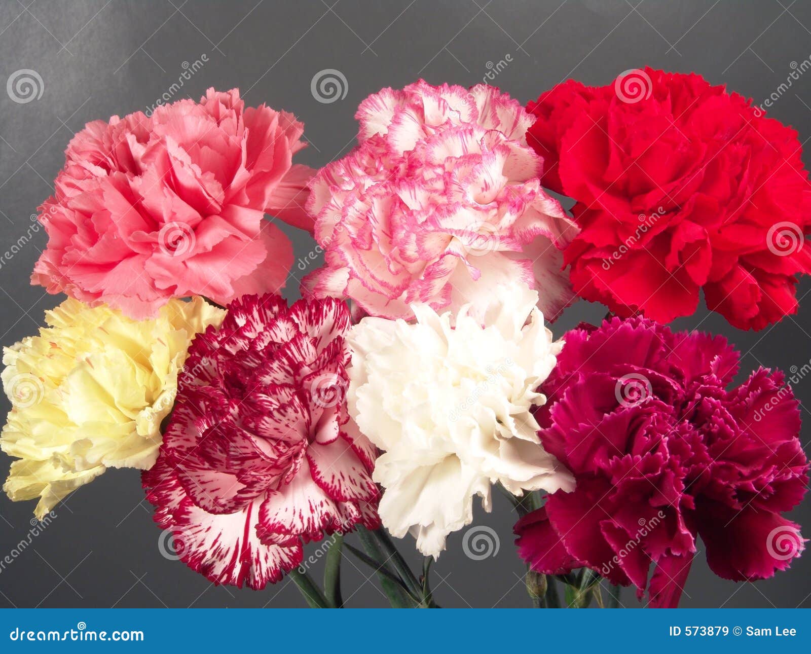 seven carnations