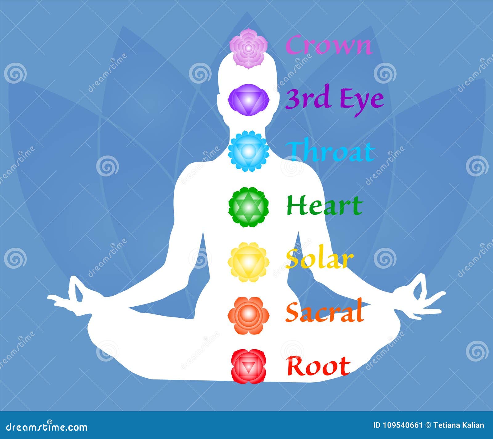The Seven Chakra Names Map. Famale Body in Lotus Yoga Asana on ...