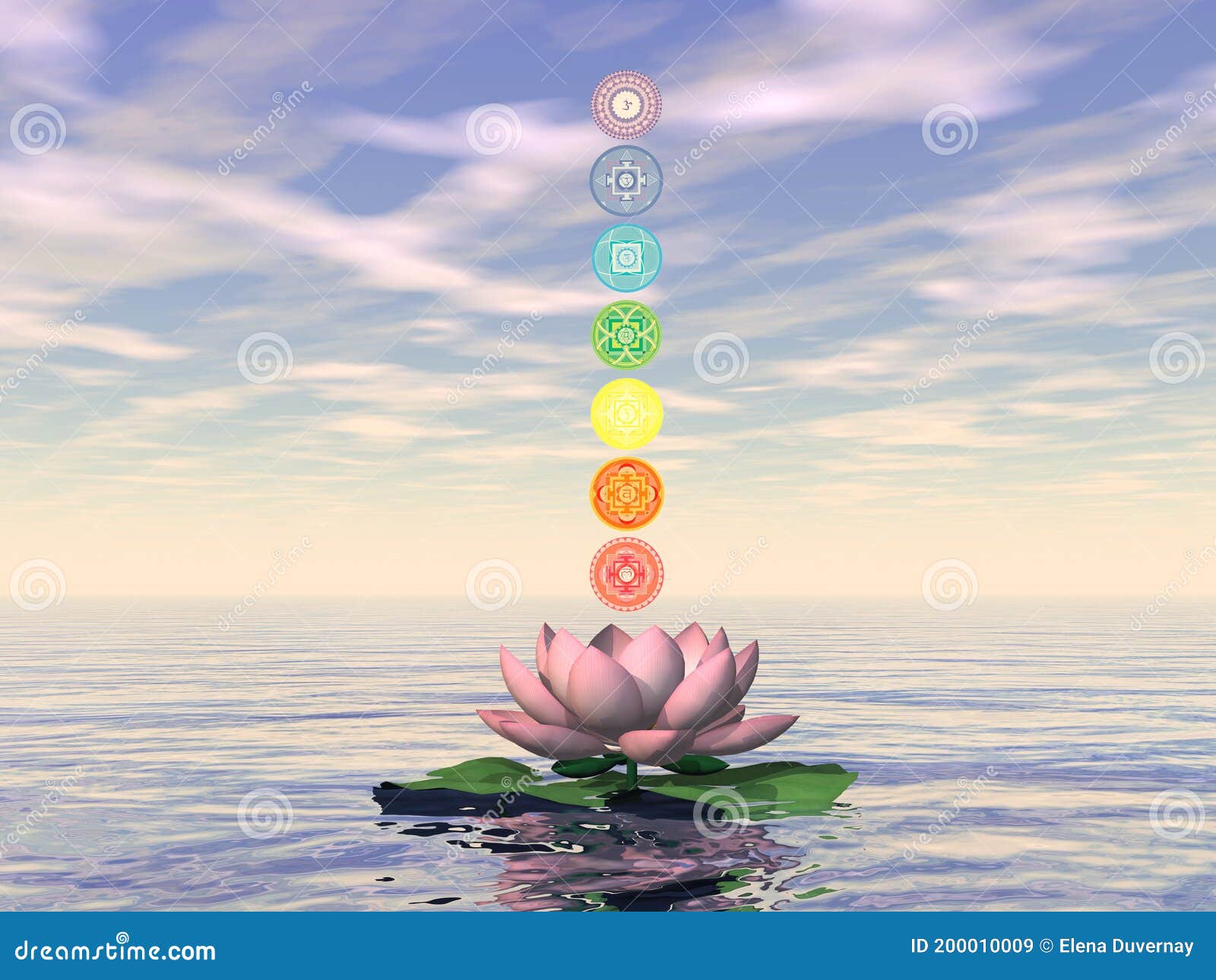 chakras lotus