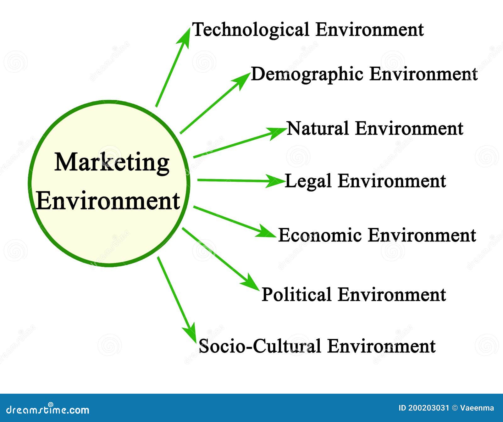 essay of market environment