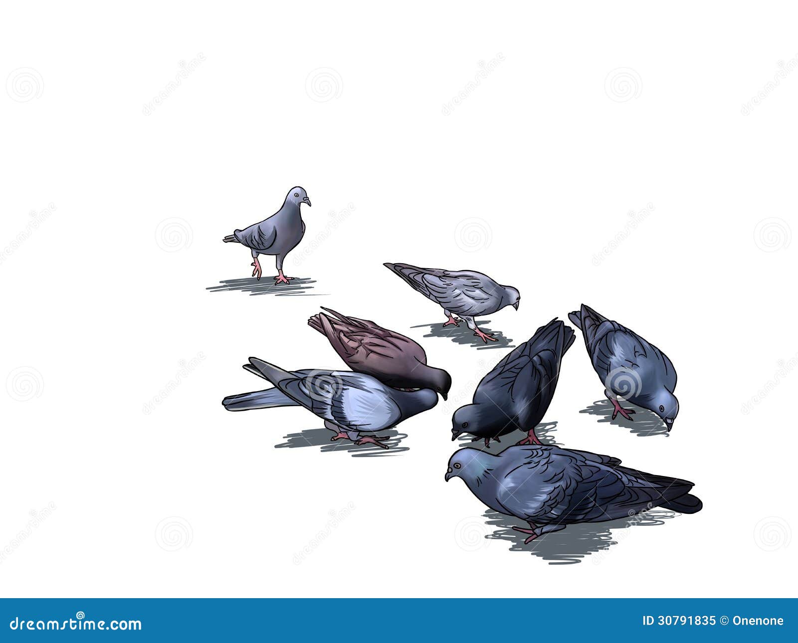 Pigeons