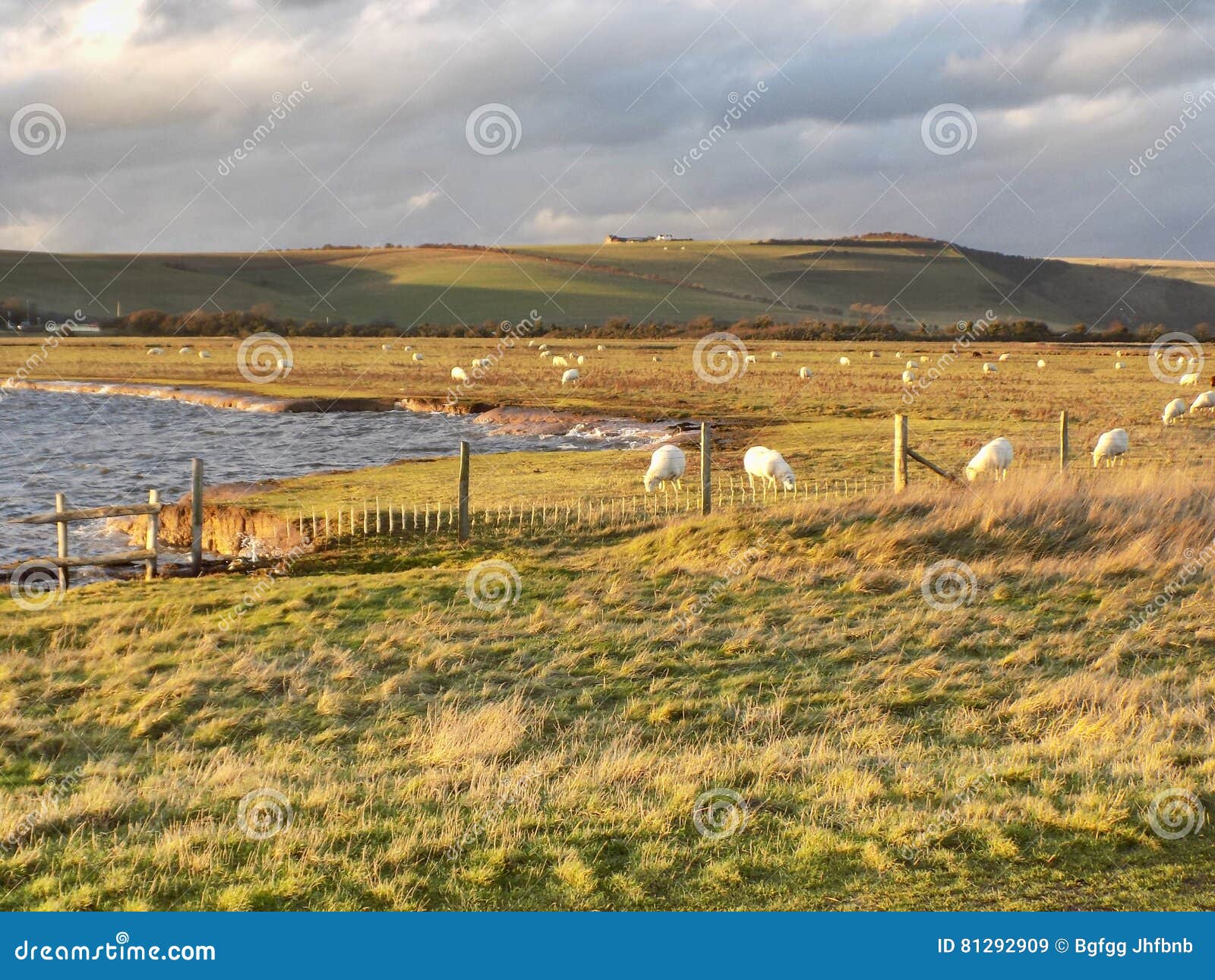 Seven Sisters Nature Park stock image. Image of view 81292909