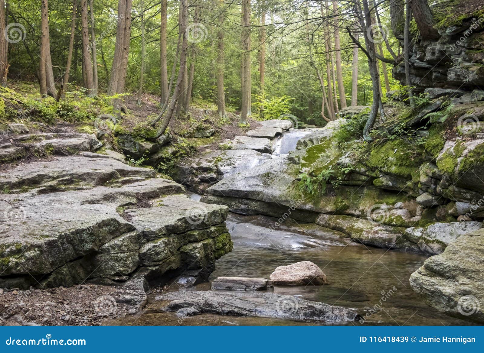 Seven Tubs Waterfall Forest Stream Stock Image Image Of