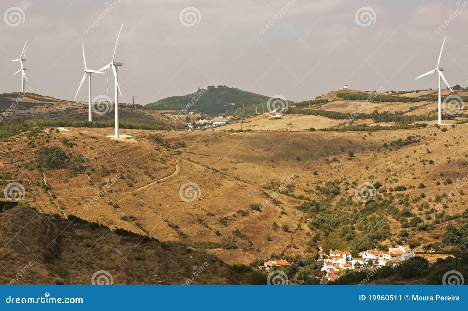 several aeolic windmills