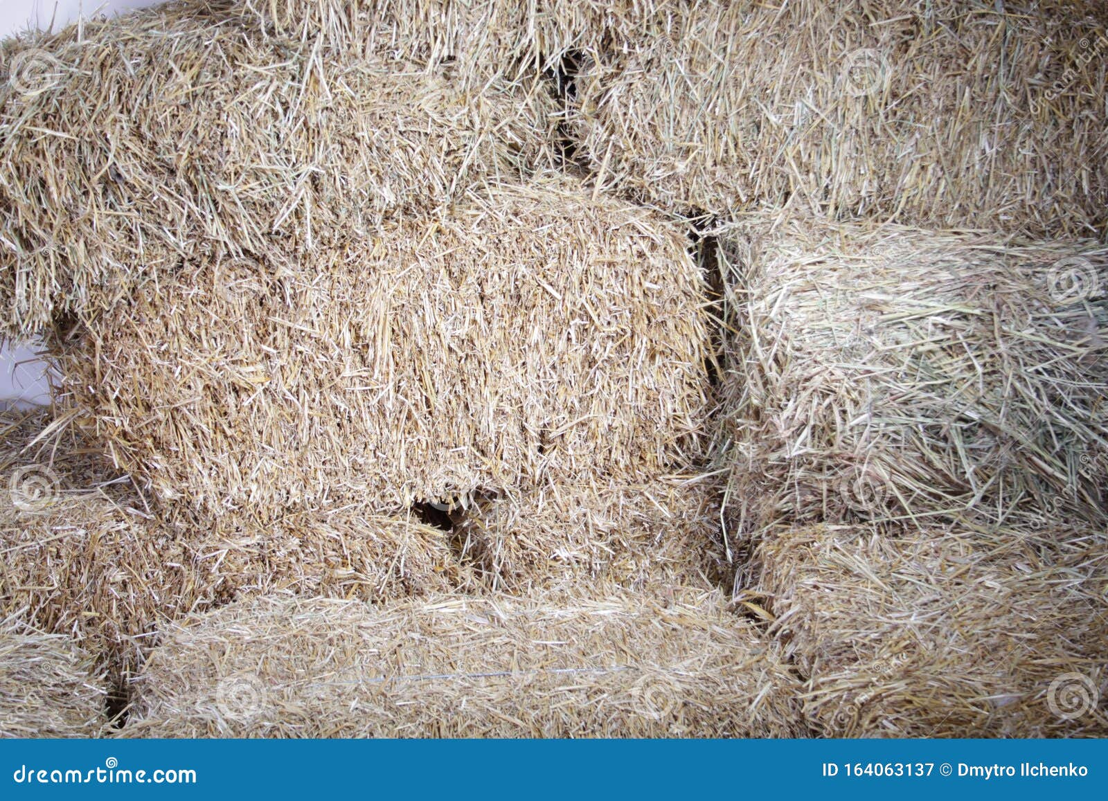 Several Bales of Rectangular Straw Stacked on Top of Each Other Stock