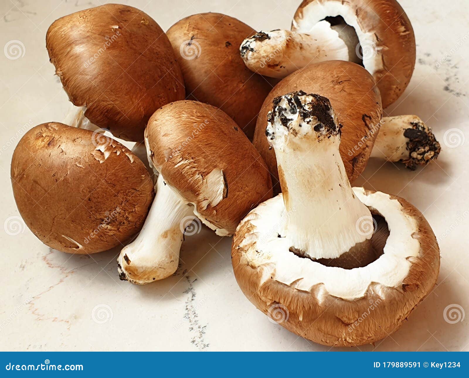 Several Brown Mushrooms or Cremini Stock Image Image of champignons