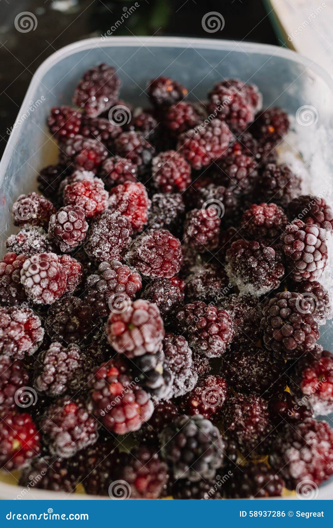 Several Frozen Blackberries in Plastic Box Stock Photo - Image of berry ...