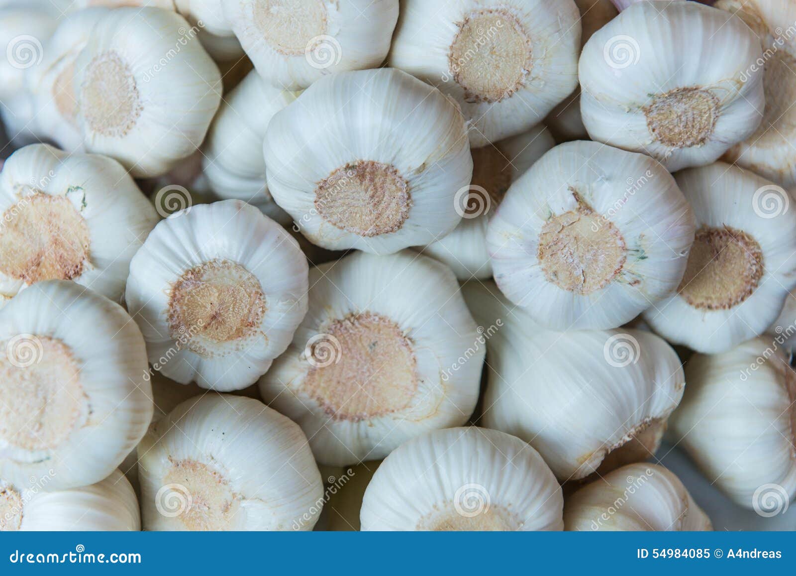 Several garlic lumps stock image. Image of natural, aromatic 54984085