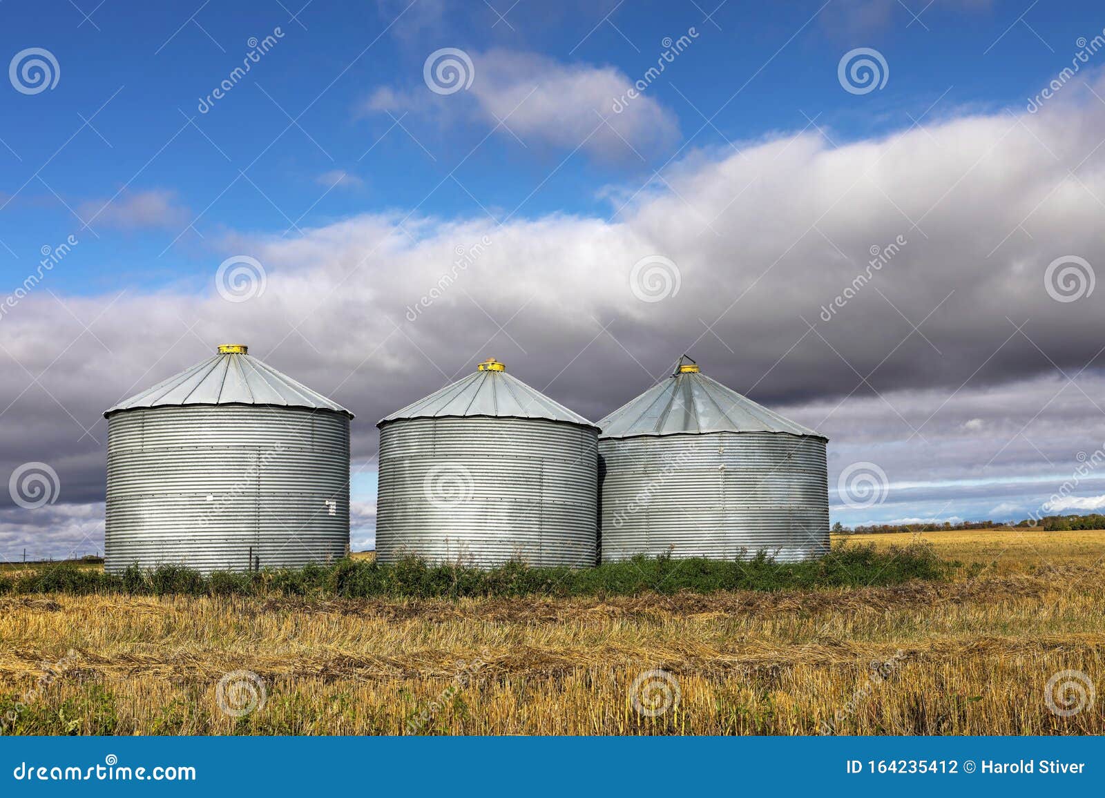 Several Grain Bins Saskatchewan, Canada Stock Photo Image of scene