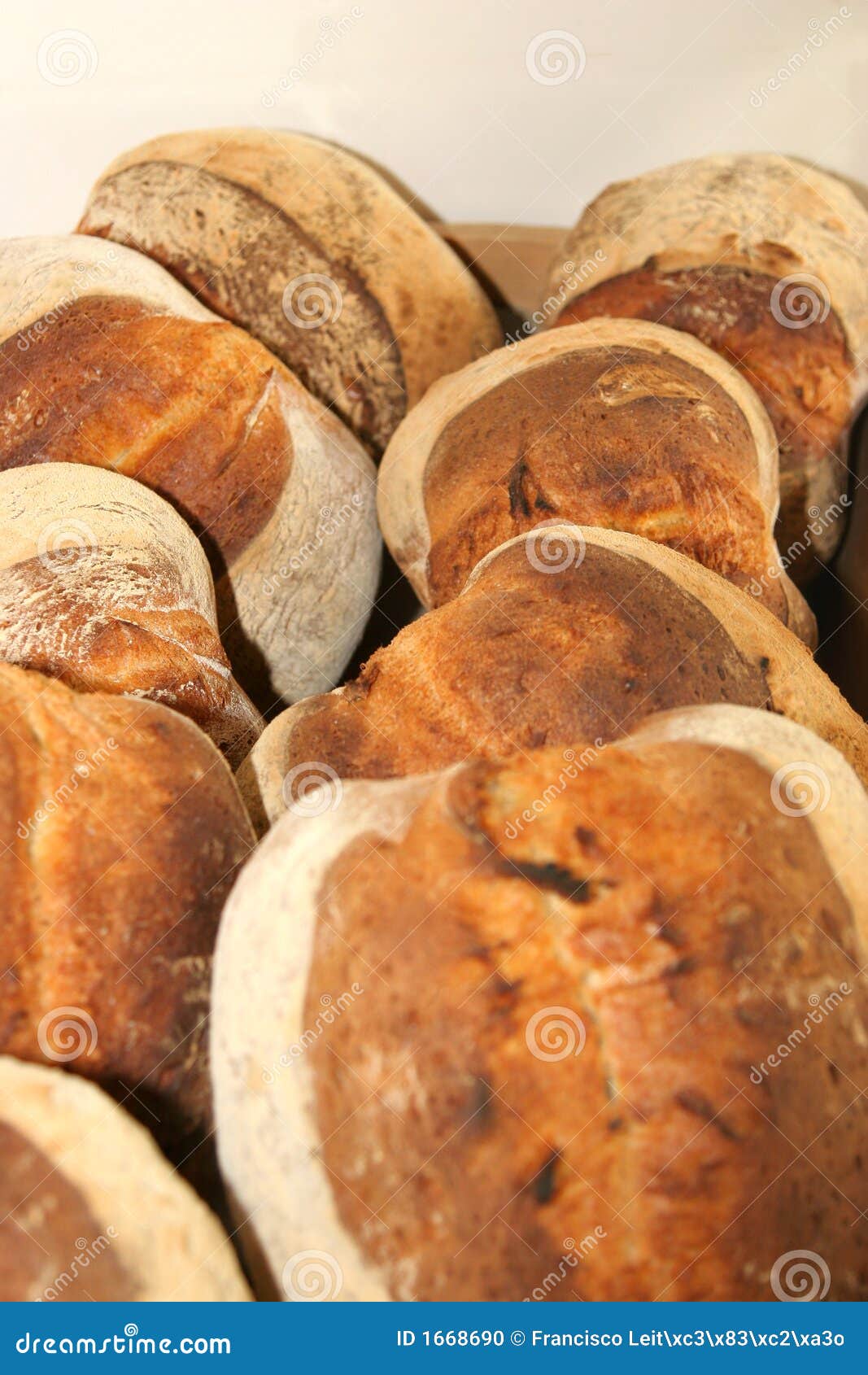 Several Loafs of Fresh Hot Bread Stock Photo Image of golden, fresh