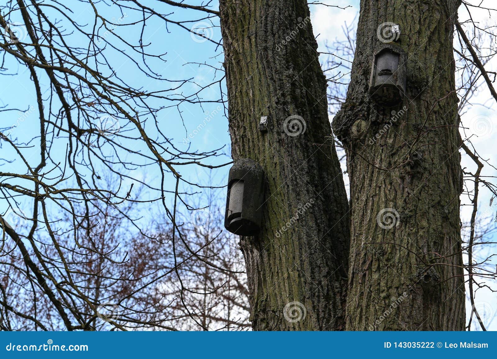 Several Old Birdhouses Hanging in the Trees Stock Photo Image of bird