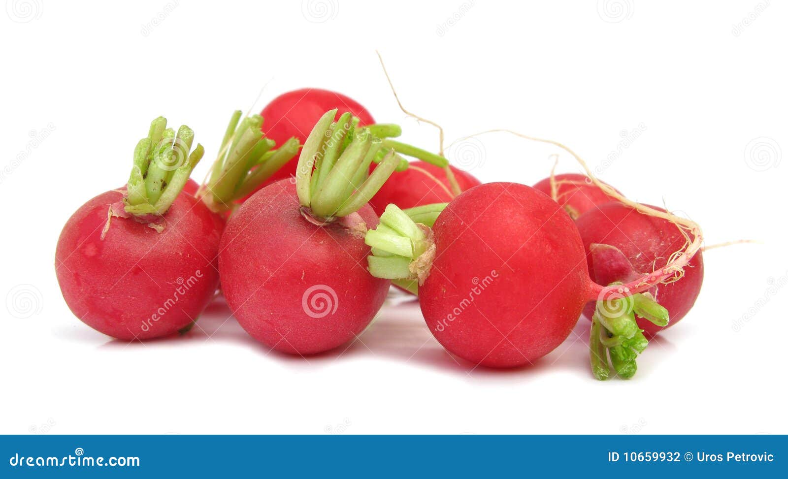 Several radishes stock photo. Image of leaf, background 10659932