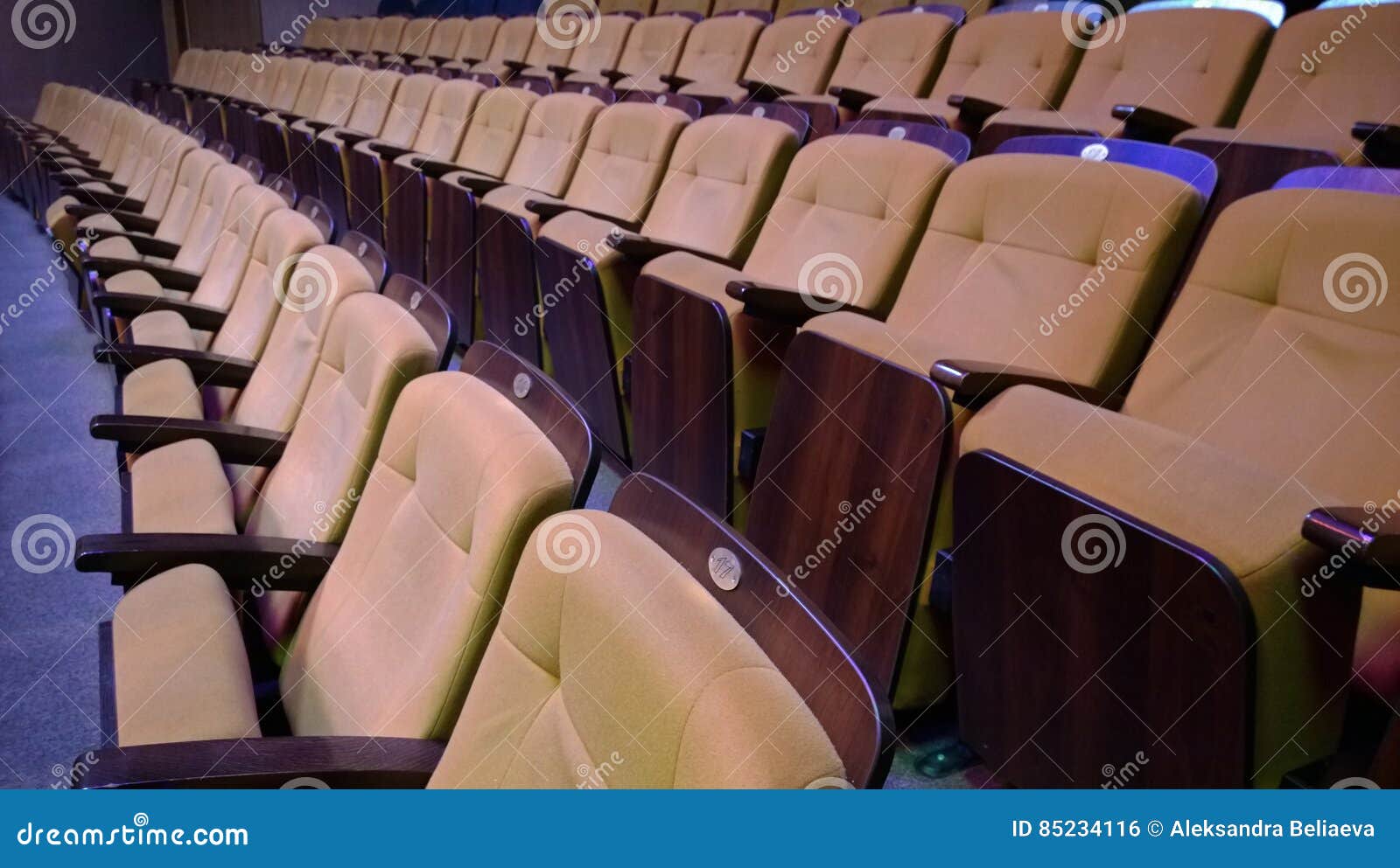 Several Rows of Folding Comfortable Padded Seats Stock Photo Image of