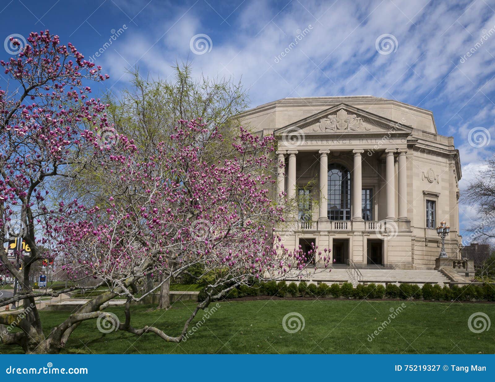 severance hall cherry blossoms