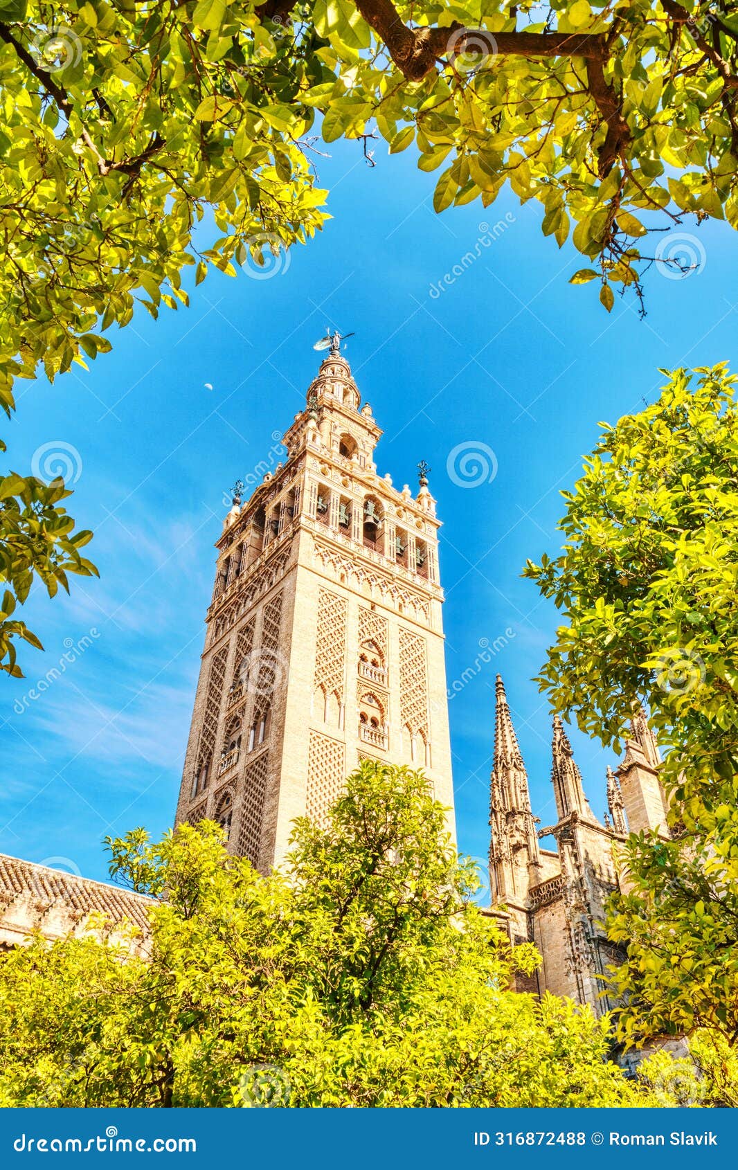seville cathedral and giralda tower during beautiful sunny day in seville