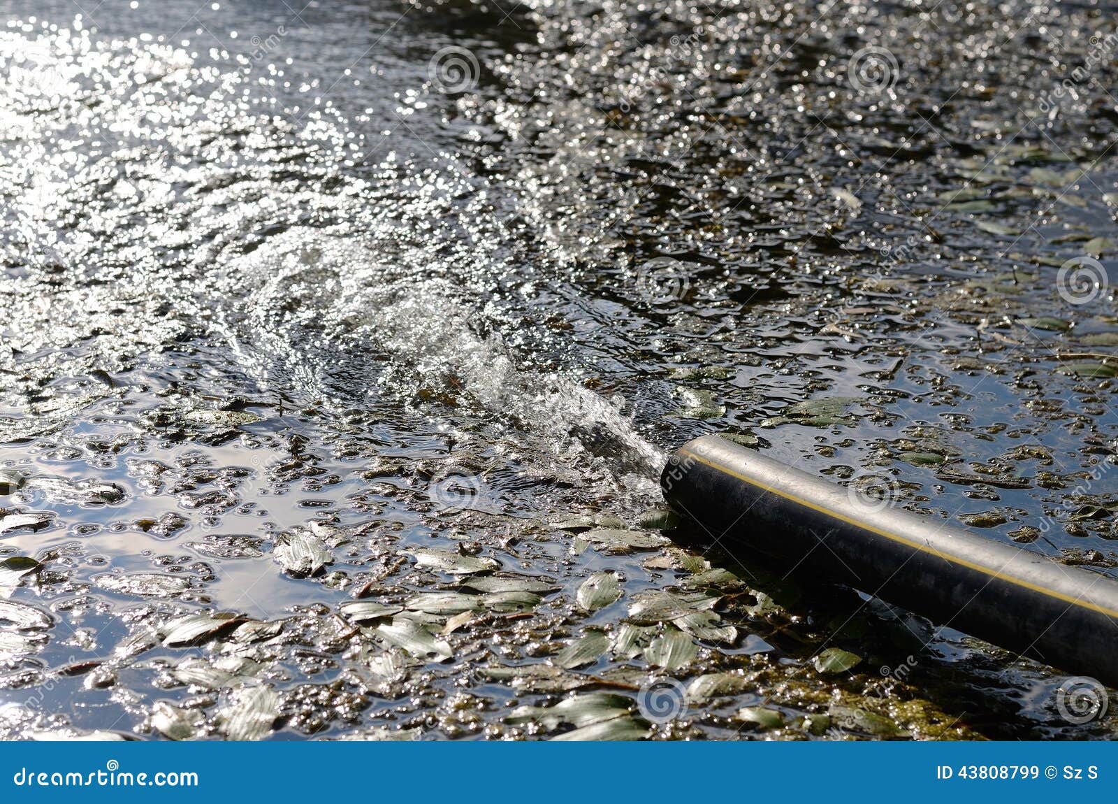 Sewer on the beach stock image. Image of lake, pipe, sewage 43808799