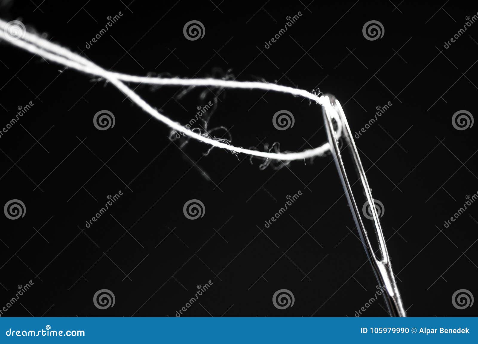 Sewing Needle Macro Shot with White Threat. Stock Photo - Image of ...