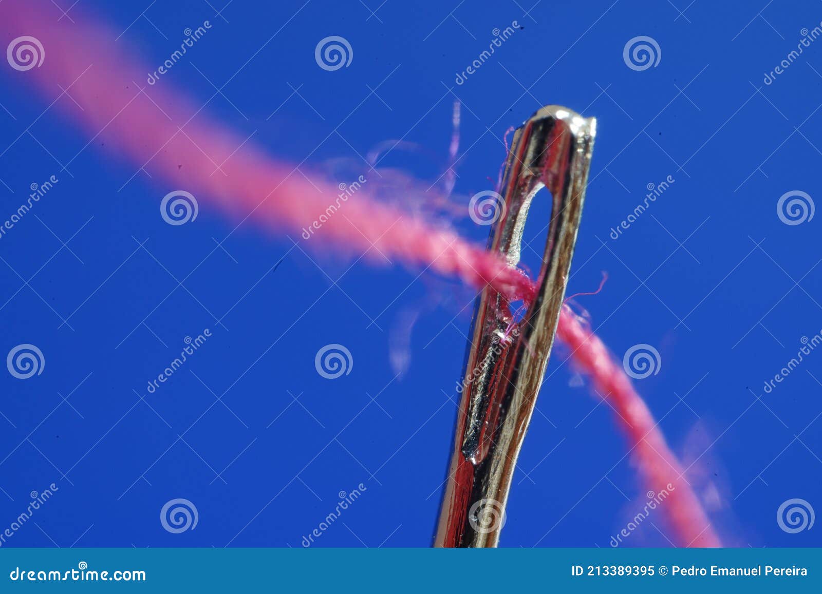 Sewing Needle with a Red Thread Passing through the Groove on a Blue