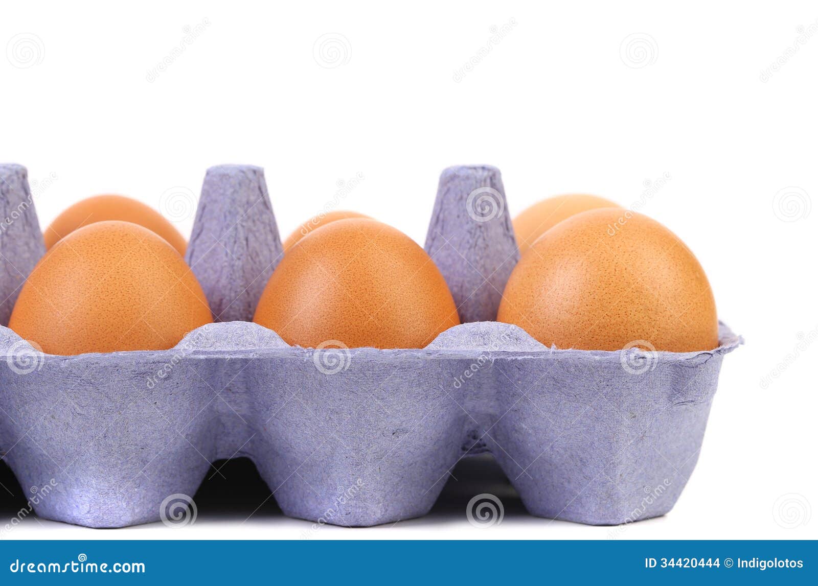 Egg Sex 109