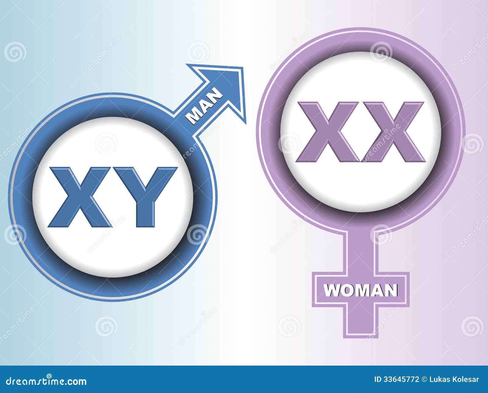 Sex Chromosome Signs Stock Illustration Illustration Of Accessible