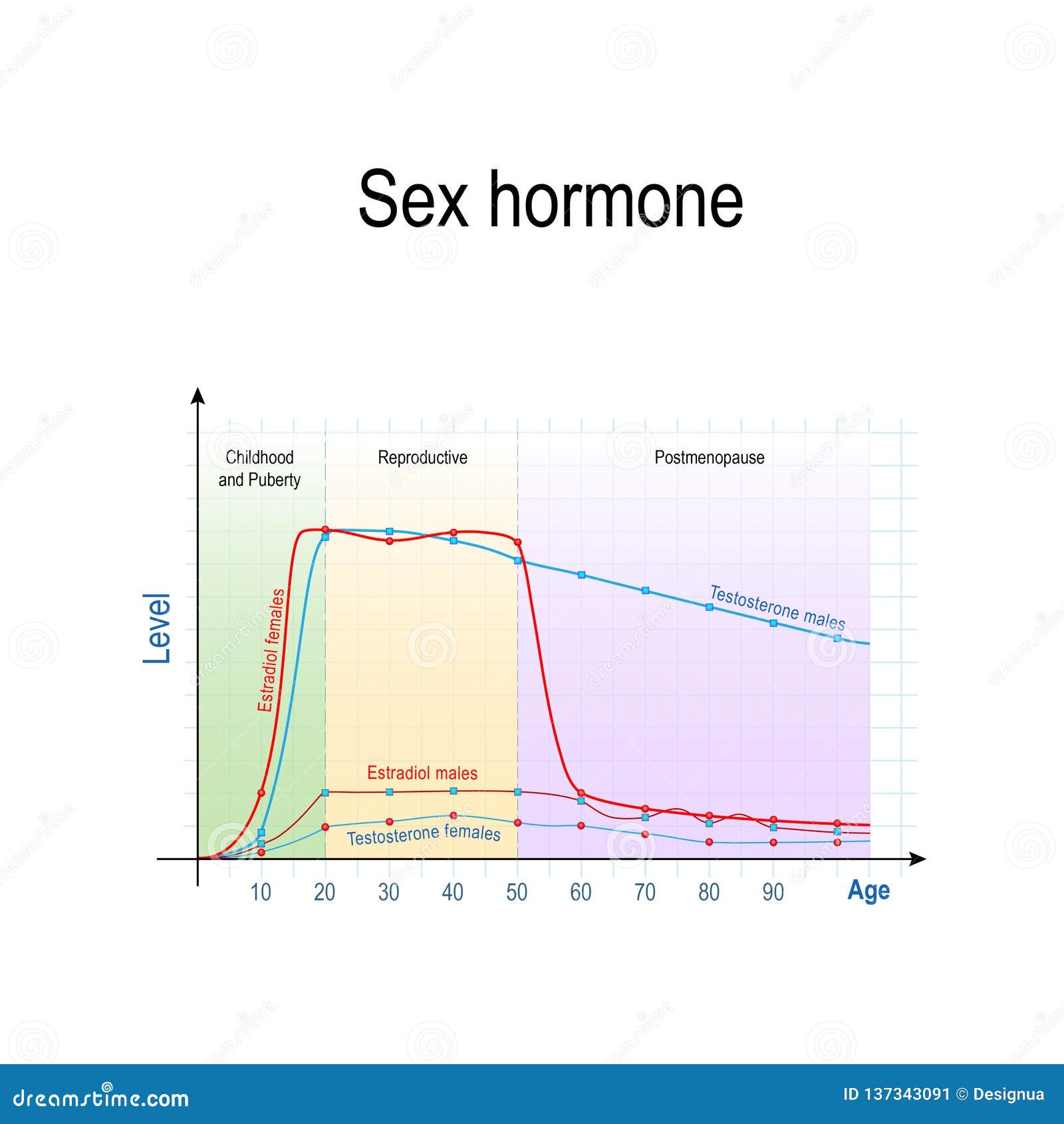 Sex Hormones And Ageing. Levels Of Testosterone For Males ...