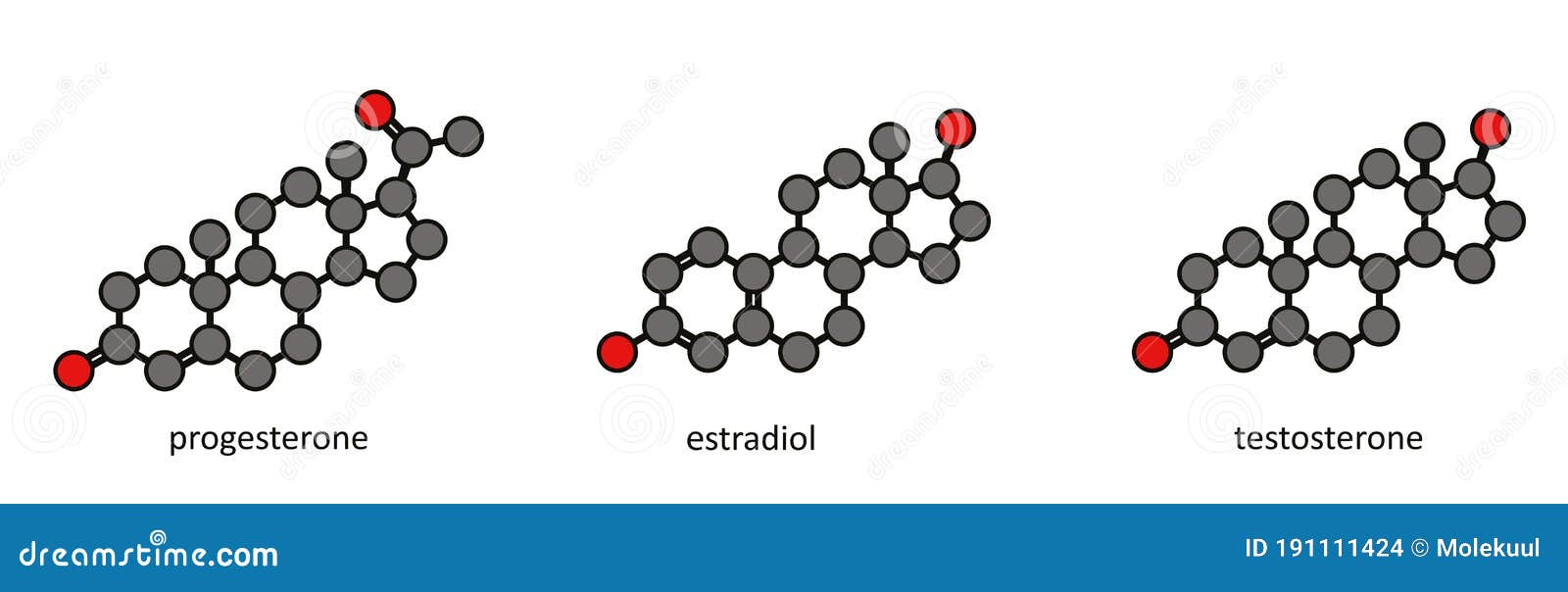 Sex Hormones Sex Steroids Progesterone Estradiol And Testosterone