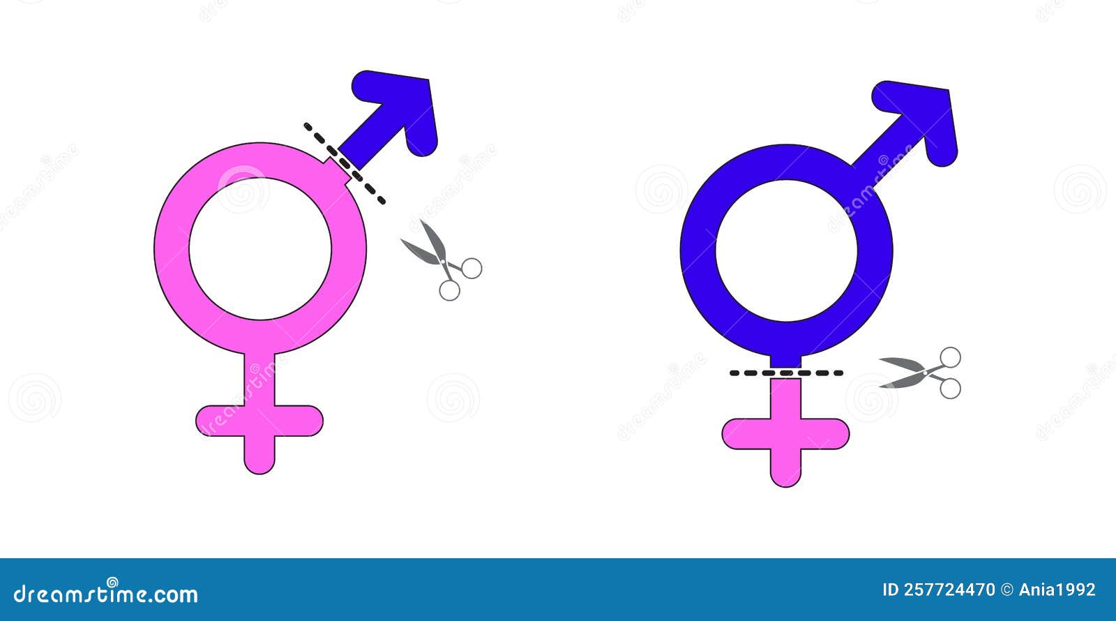 Sex Reassignment Surgery - Change and Transition of Female / Woman Sex into Male / Man Sex or of Male / Man Sex into Female / Stock Vector