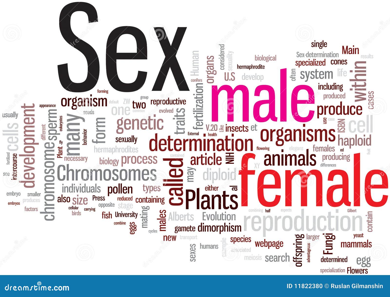 Sex Word Cloud Stock Illustration Illustration Of