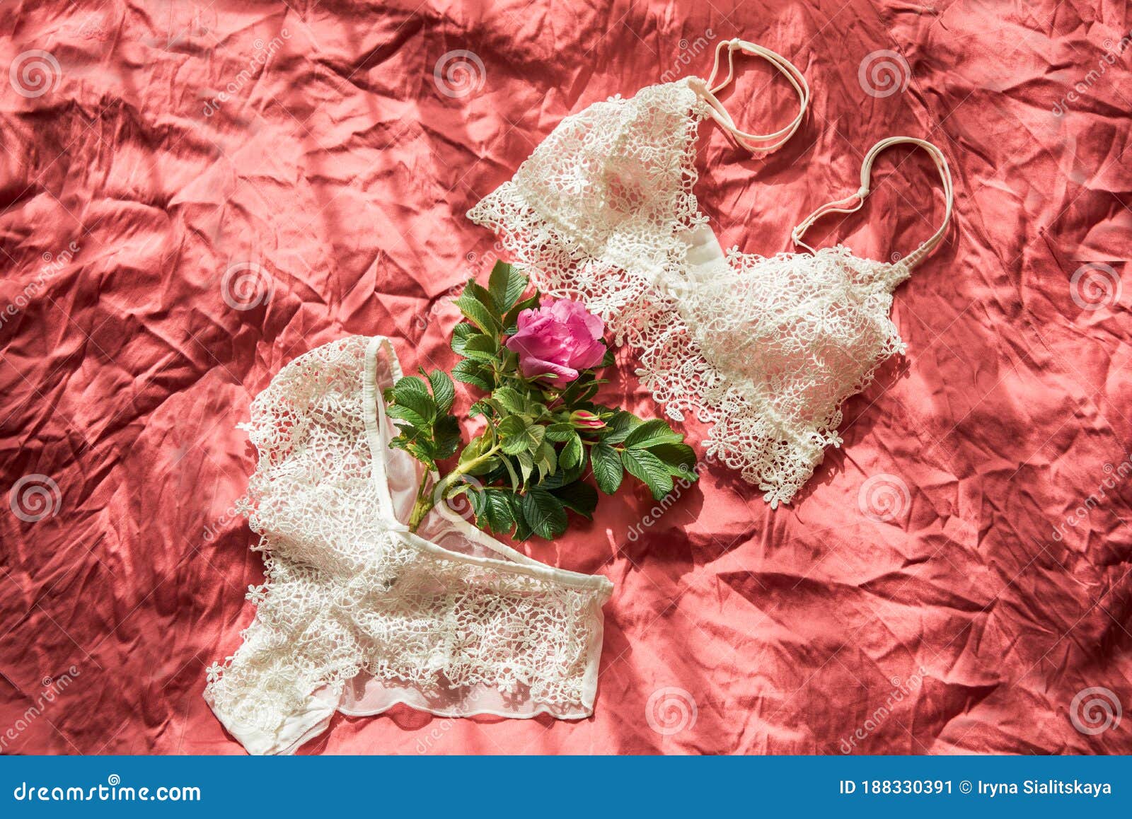 Wrinkled Bra Stock Photos - Free & Royalty-Free Stock Photos from