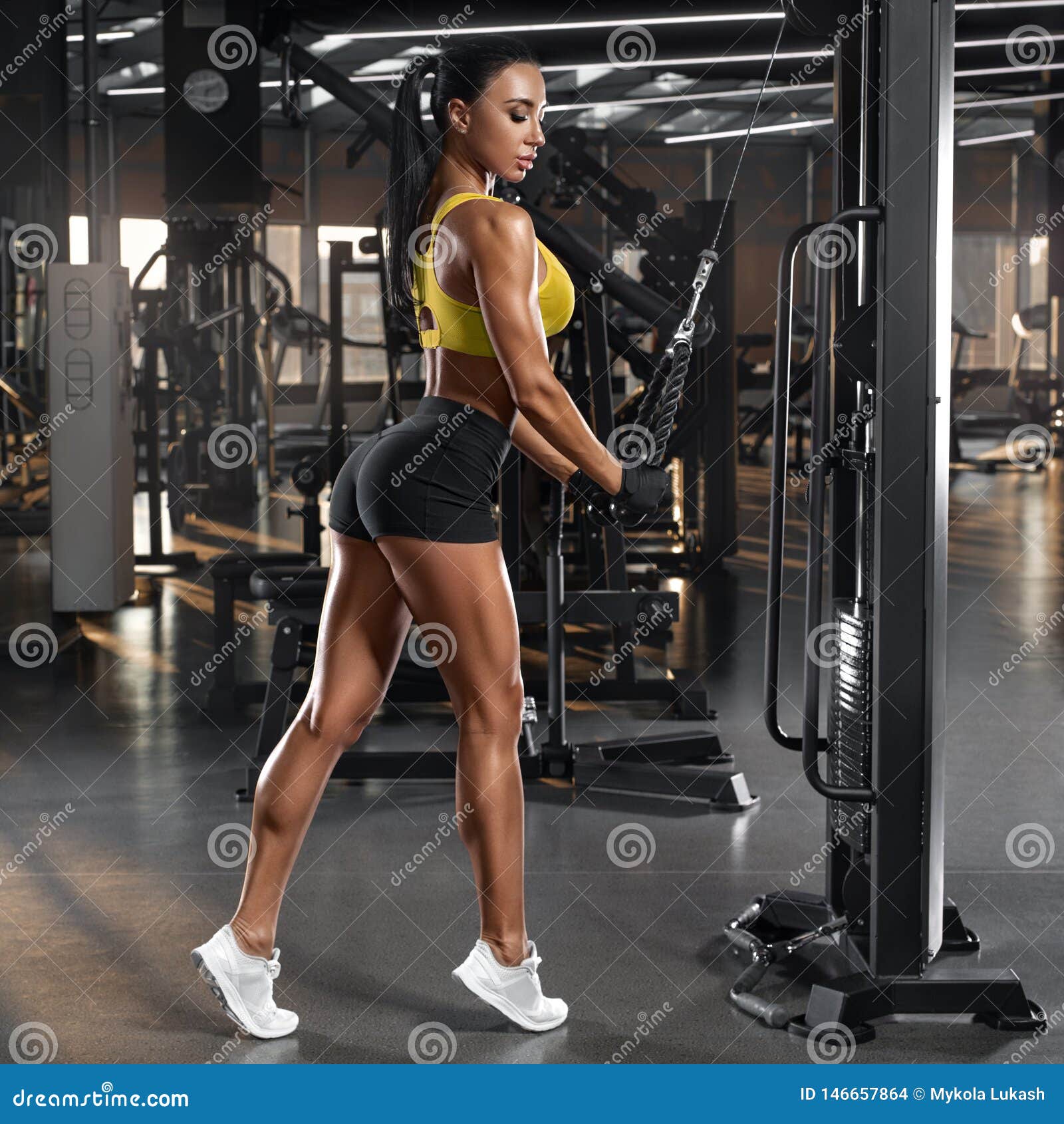 Athletic Girl Workout in Gym. Fitness Woman Doing Exercise for Triceps  Stock Photo - Image of fitness, exercise: 146657864