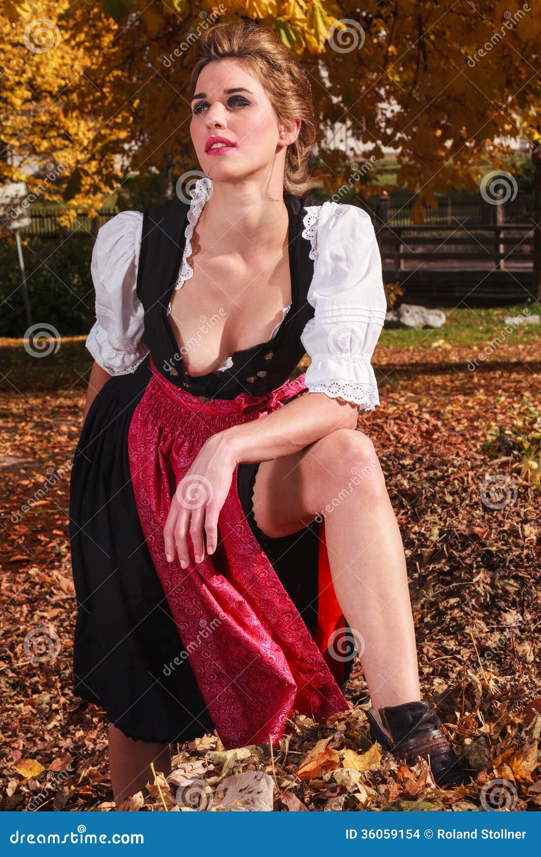 Beautiful Young Woman in a Dirndl Stock Photo - Image of cleavage, bare:  36059154