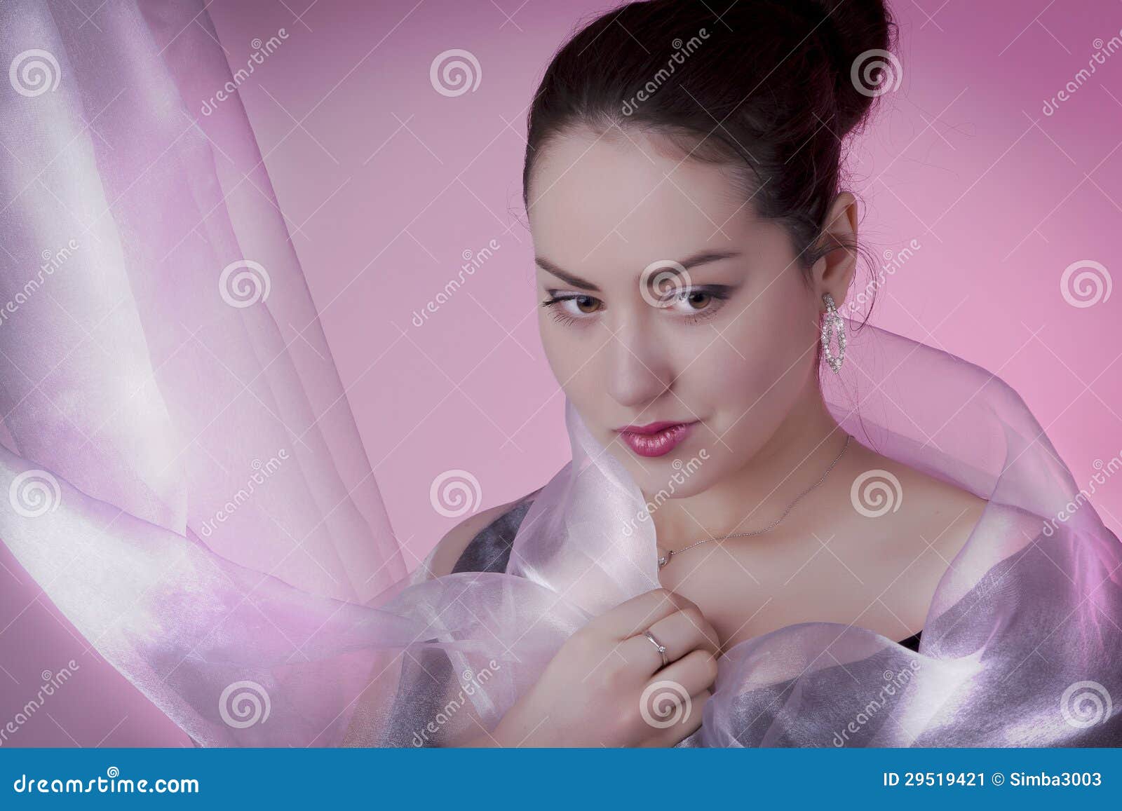 And Beauty stock image. Image of dressed, elegant, evening - 29519421