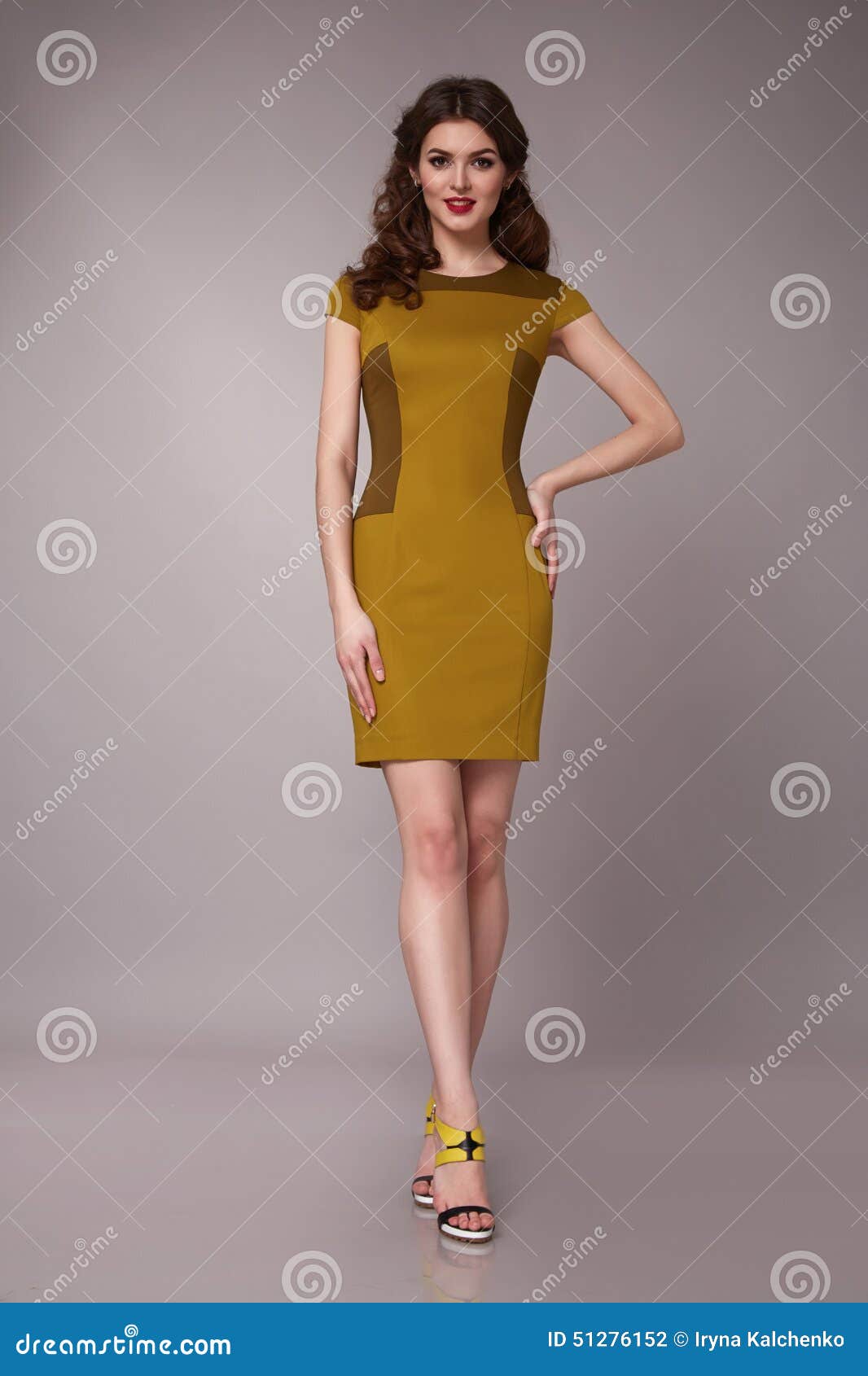 Beauty Business Woman in Fashion Dress Perfect Slim Body Stock Photo -  Image of makeup, gray: 51276152