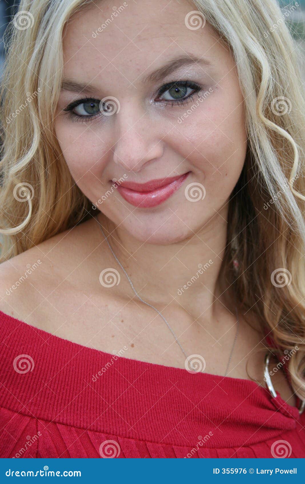 Blonde stock photo. Image of lady, complexion, cosmetics - 355976